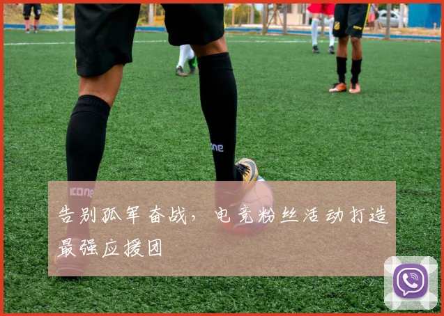 告别孤军奋战，电竞粉丝活动打造最强应援团