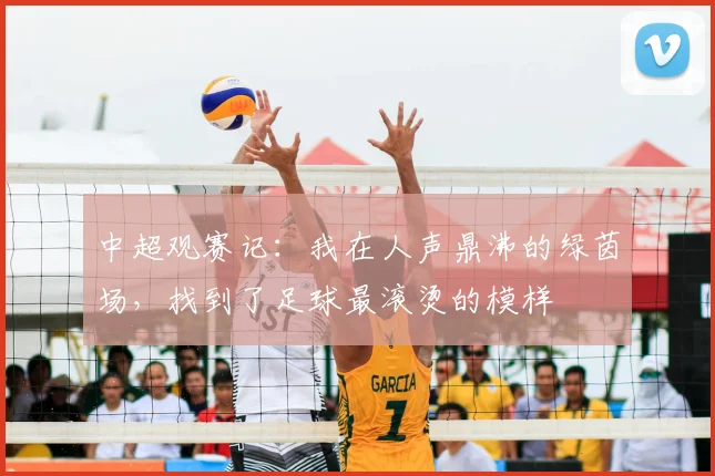 中超观赛记：我在人声鼎沸的绿茵场，找到了足球最滚烫的模样