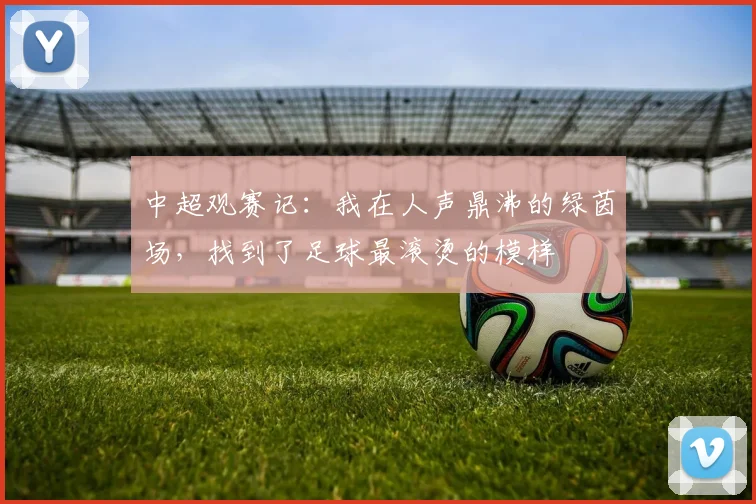中超观赛记：我在人声鼎沸的绿茵场，找到了足球最滚烫的模样